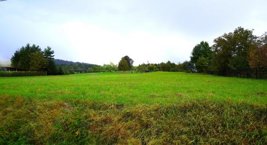 DZIAŁKA BUDOWLANA PAGORZYNA